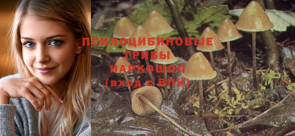 МДМА Куйбышев