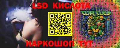 прущие крисы Аргун