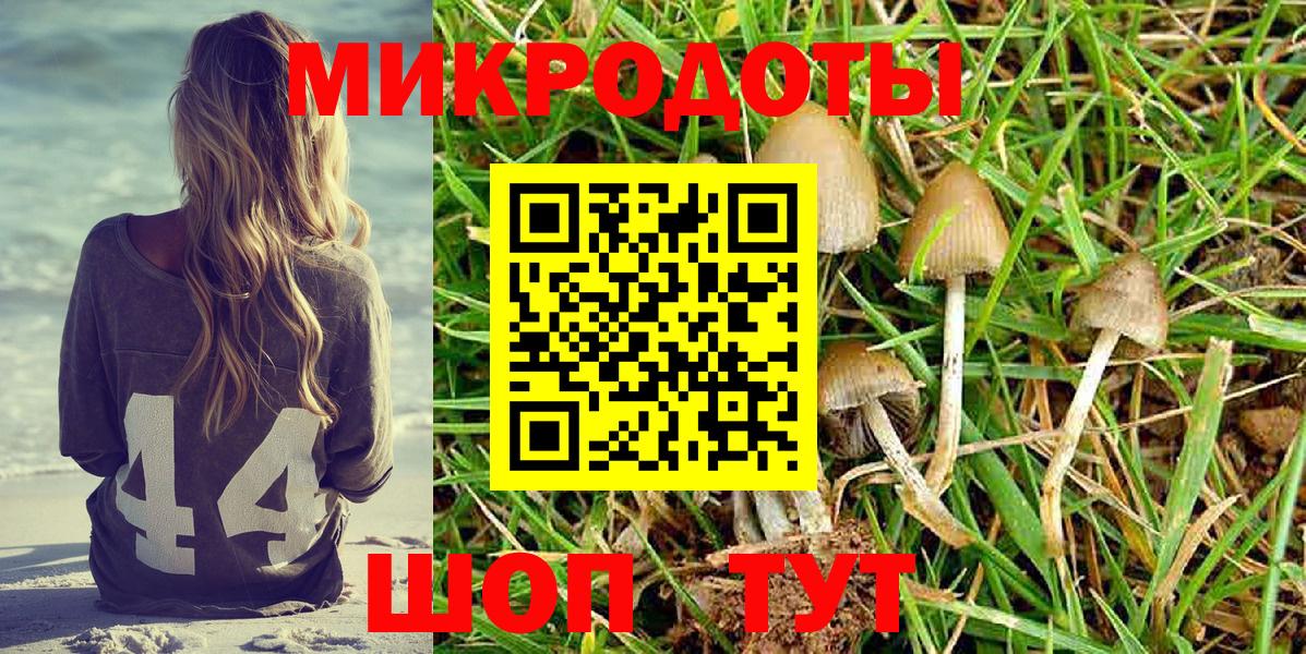 Псилоцибиновые грибы ЛСД Великий Новгород