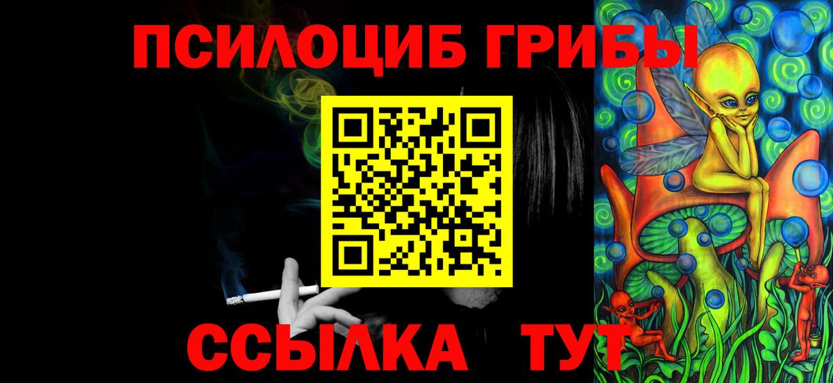 Псилоцибиновые грибы Psilocybine cubensis Великий Новгород