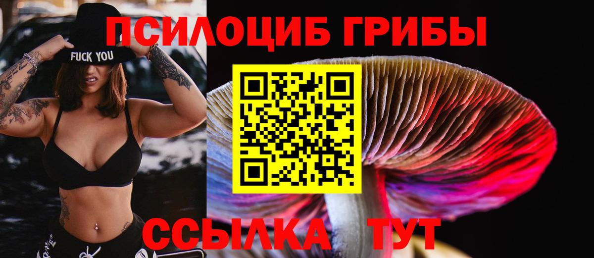 Псилоцибиновые грибы ЛСД  Великий Новгород 